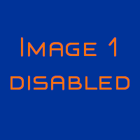 disabled image viewer